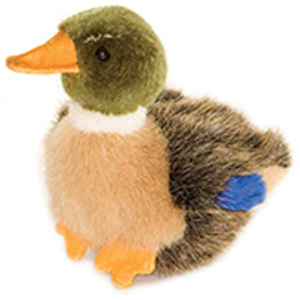 mallard toy