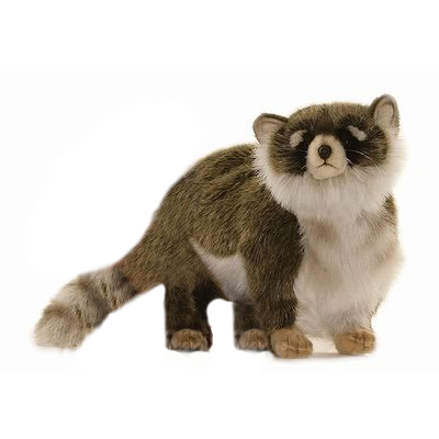 squeaky racoon dog toy